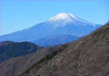 富士山