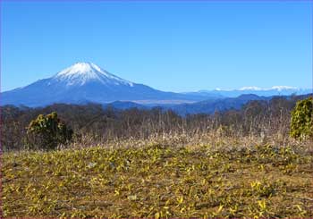 富士と南ア