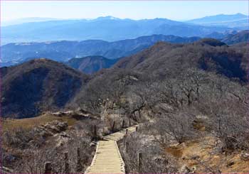 山頂直下から