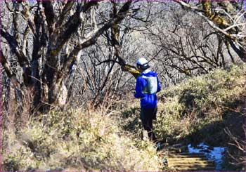 丹沢山へ