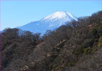 富士山