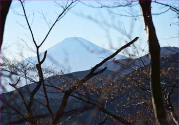 富士山が