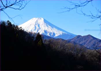 富士山