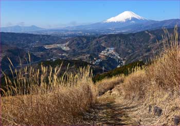 大野山にて