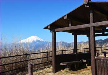 東屋富士