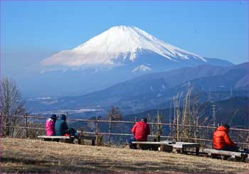 大野山富士