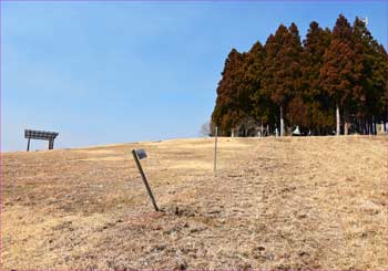 薫る野牧場