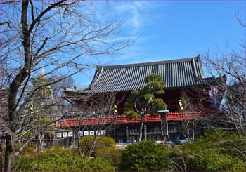 清水観音寺