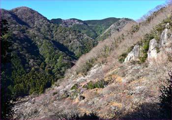 幕山梅公園