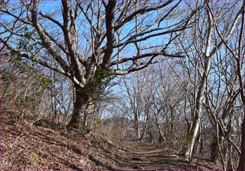 山頂近し