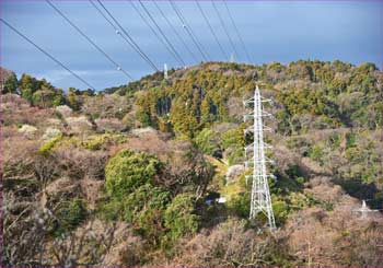 里山