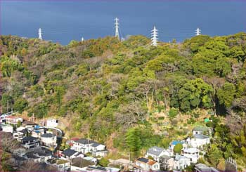 田浦の山