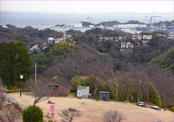 東京湾展望