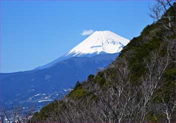 富士山見ゆ