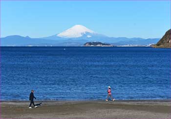 逗子海岸