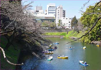 千鳥ヶ淵