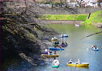 千鳥ヶ淵