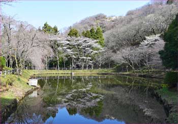 最明寺史跡公園