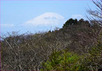 富士山