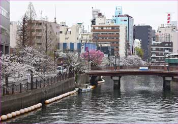 河口へ