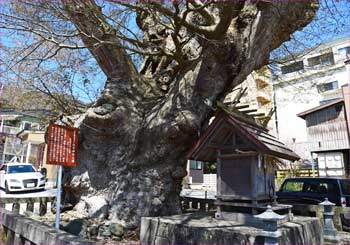 住吉神社