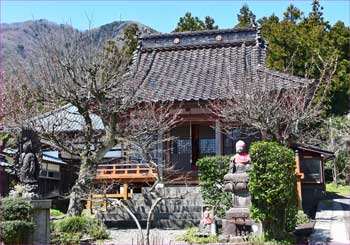 本高寺