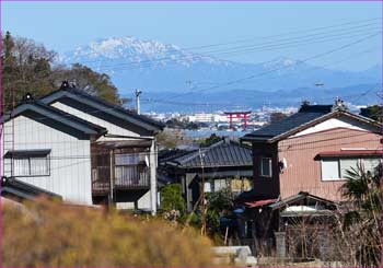 大鳥居見ゆ