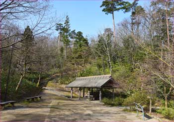 弥彦公園