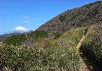 富士山