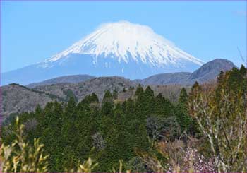 富士山