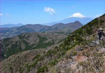 富士山