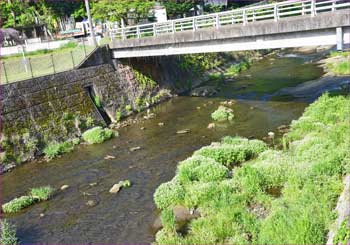 鶴見川