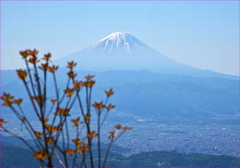 富士山