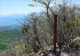 金ヶ岳山頂