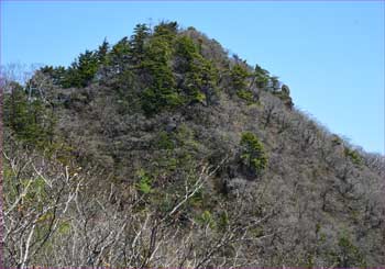 金ヶ岳南峰