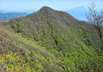 茅ヶ岳