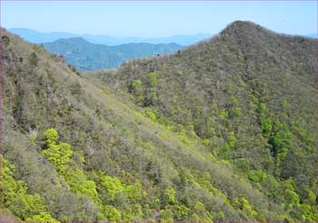 茅ヶ岳