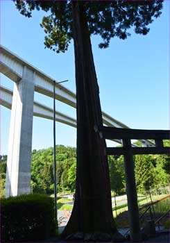 神社と新東名道