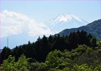 富士山