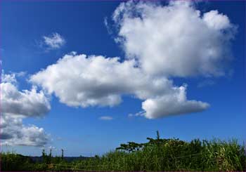 雲湧く