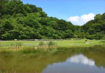 永福寺史跡公園