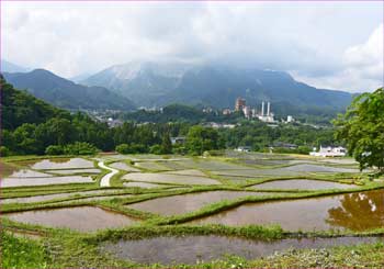 寺坂棚田