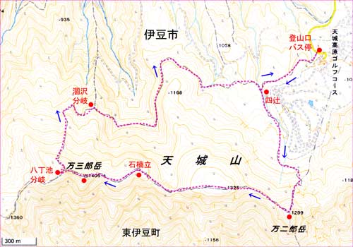 天城山地図