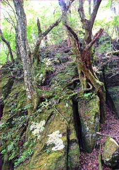 岩場のトラバース