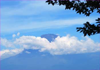 富士山