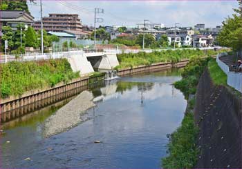 引地川