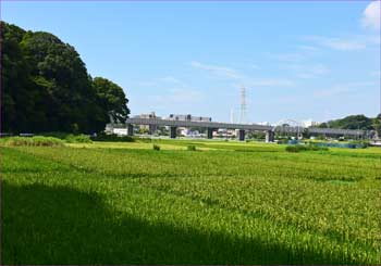 石川地区田園