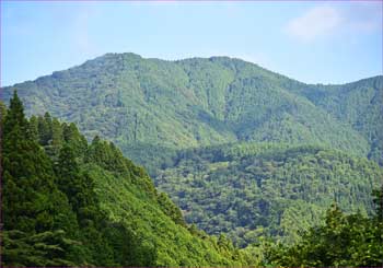 雨山