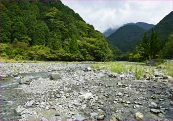 寄沢