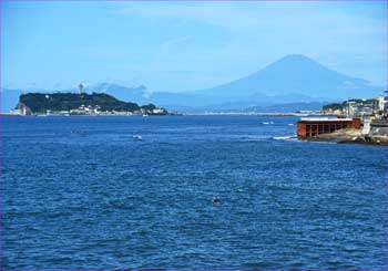 富士展望